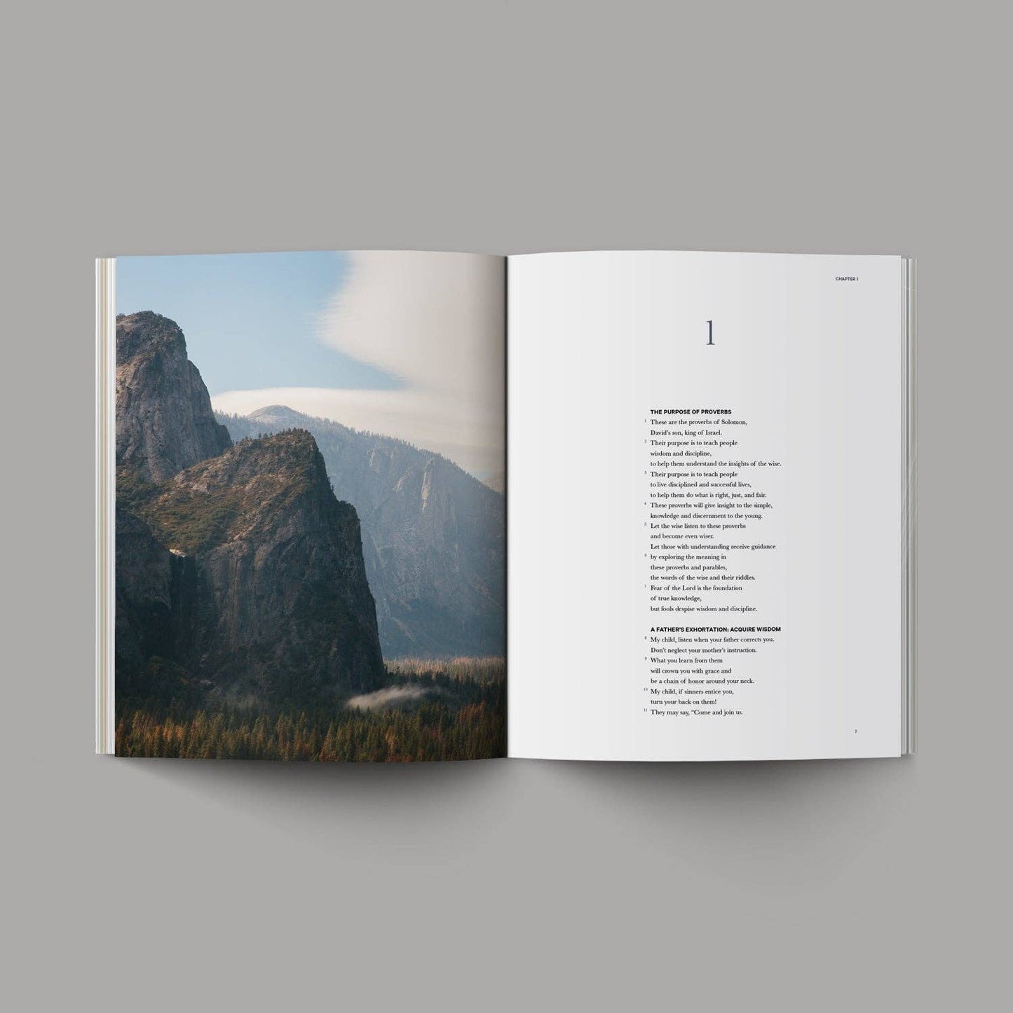 The Book of Proverbs