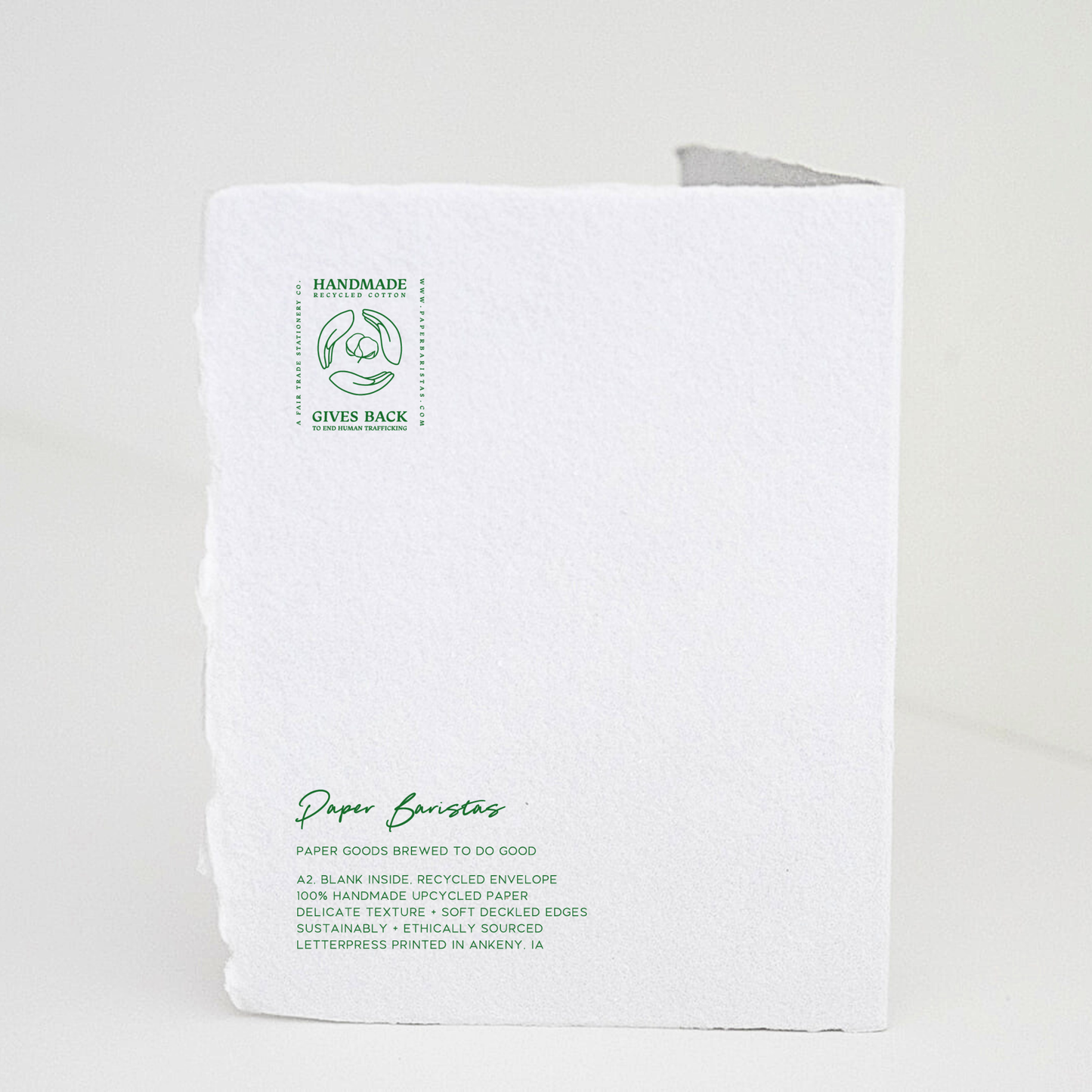 So Appreciated | Eco-Friendly Thank You Greeting Card