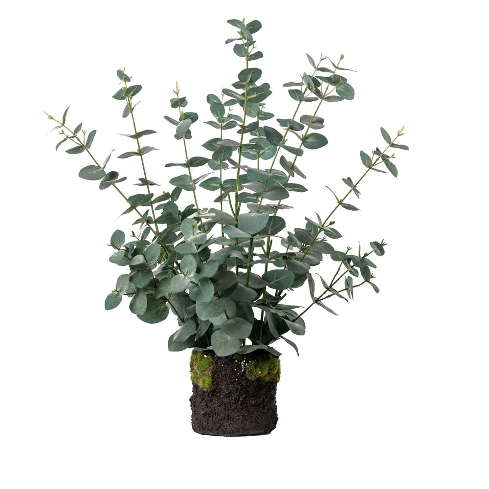 25" Drop In Eucalyptus Plant