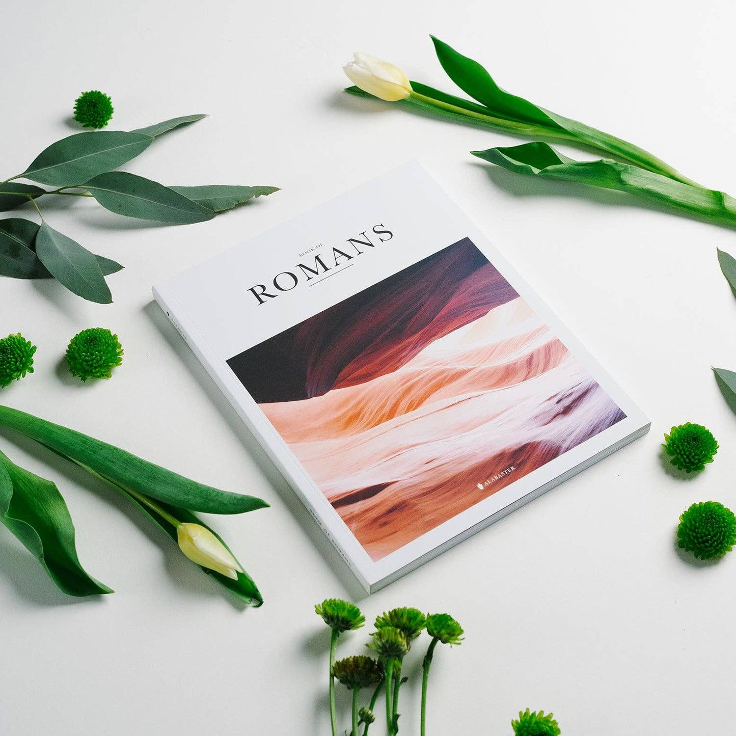 The Book of Romans