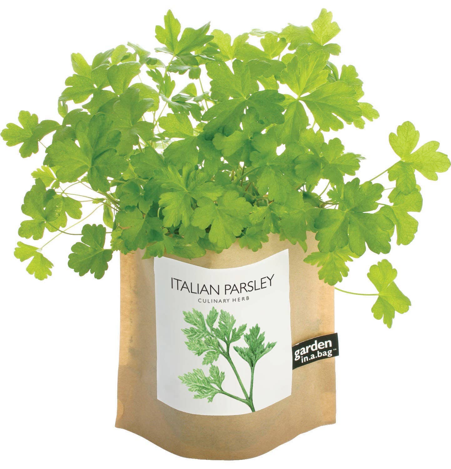 Garden in a Bag | Italian Parsley