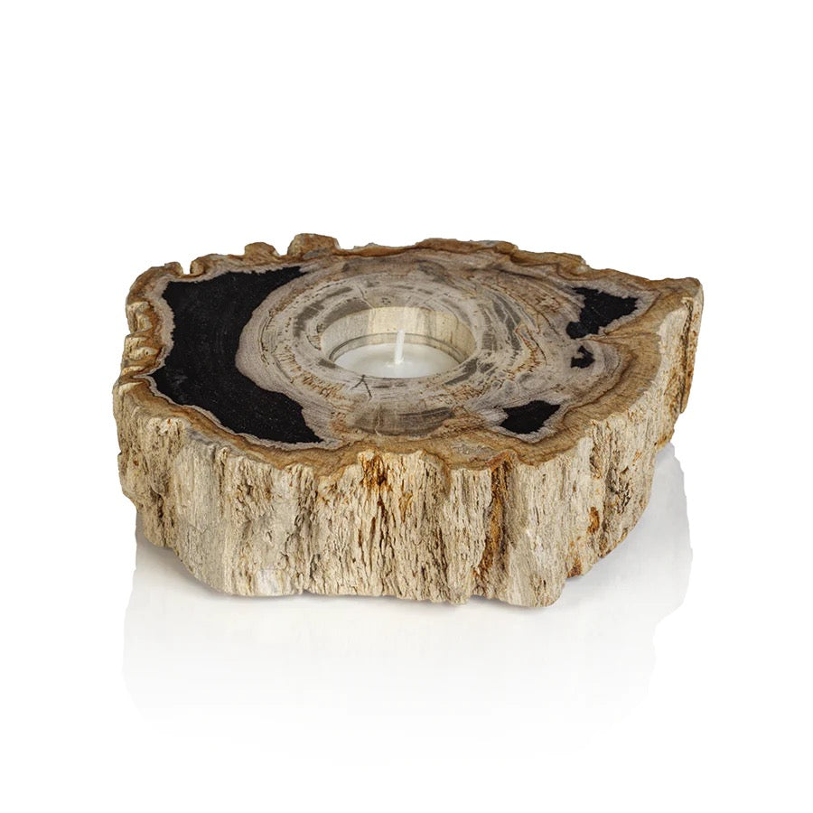 Fortaleza Petrified Wood Tealight Holder